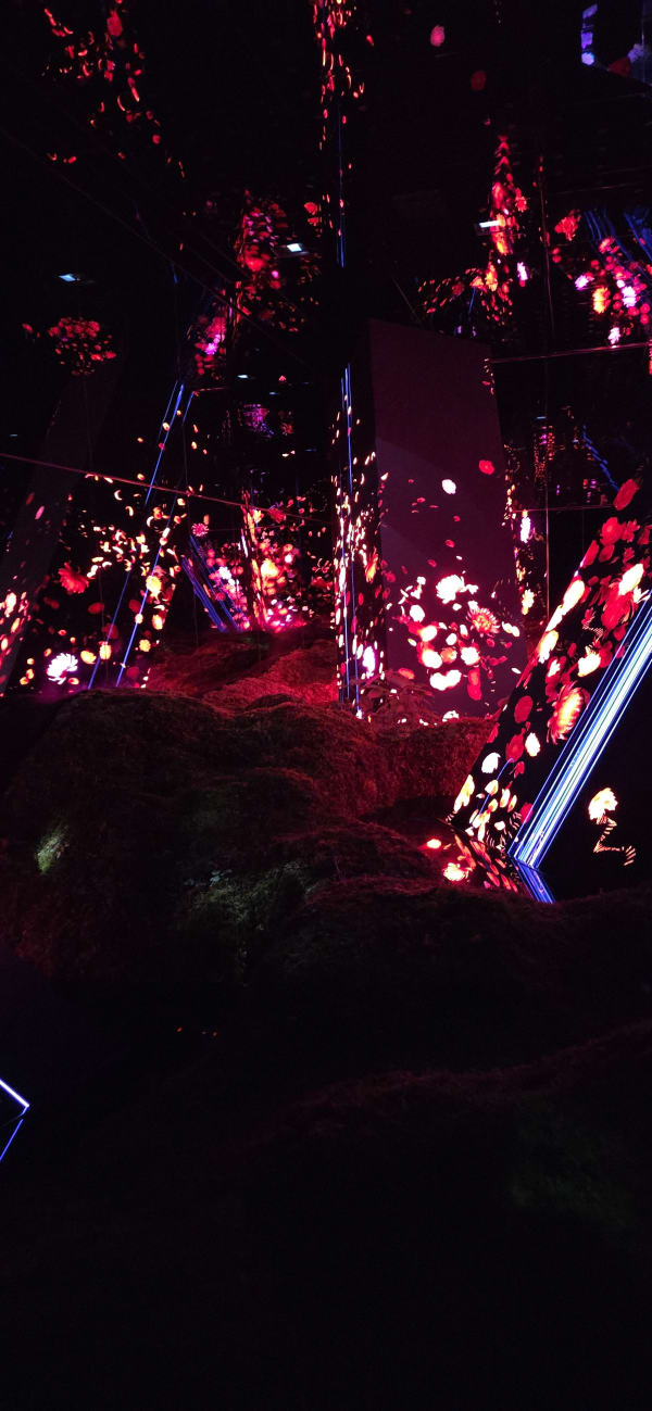 teamLab Borderless