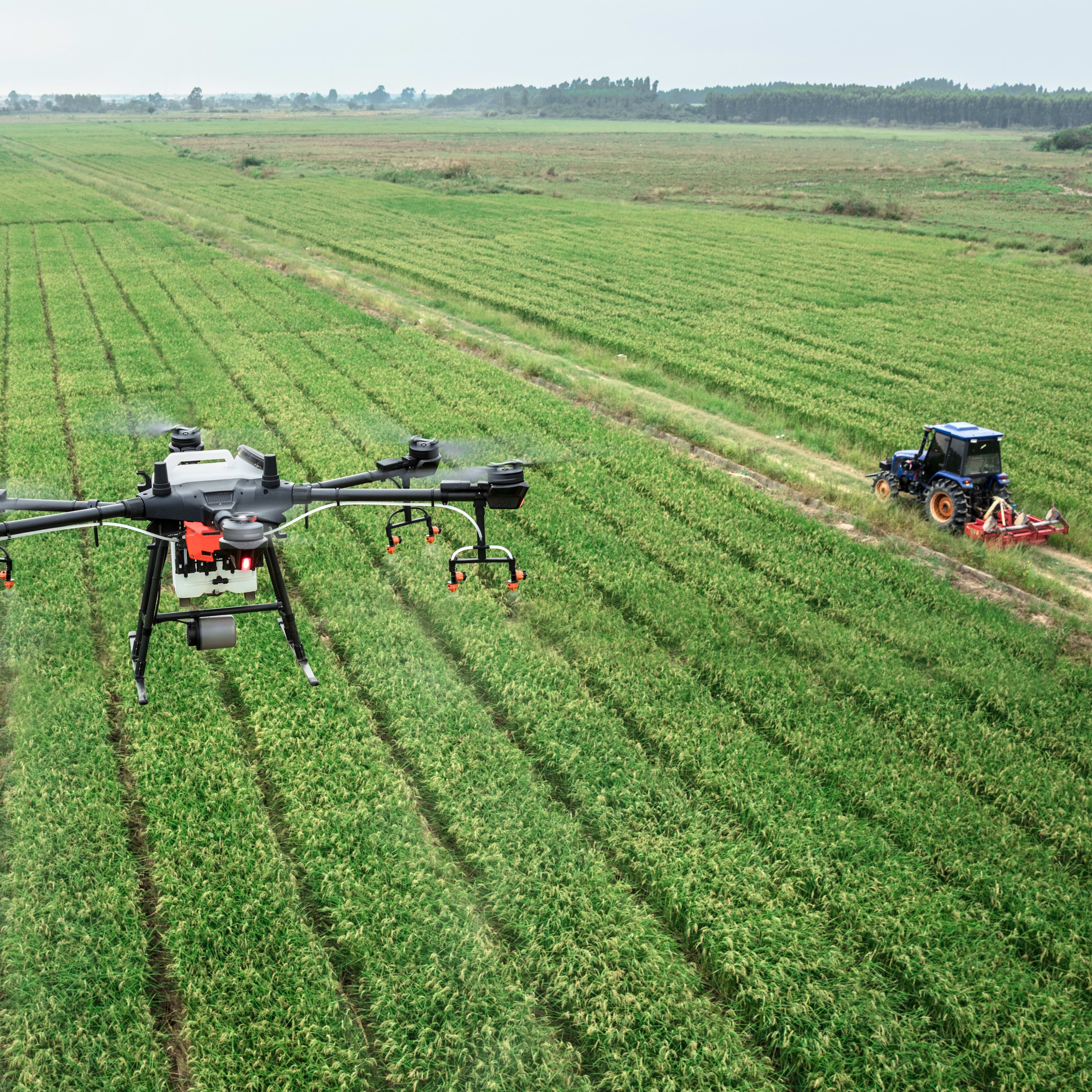 Drone view of farmland