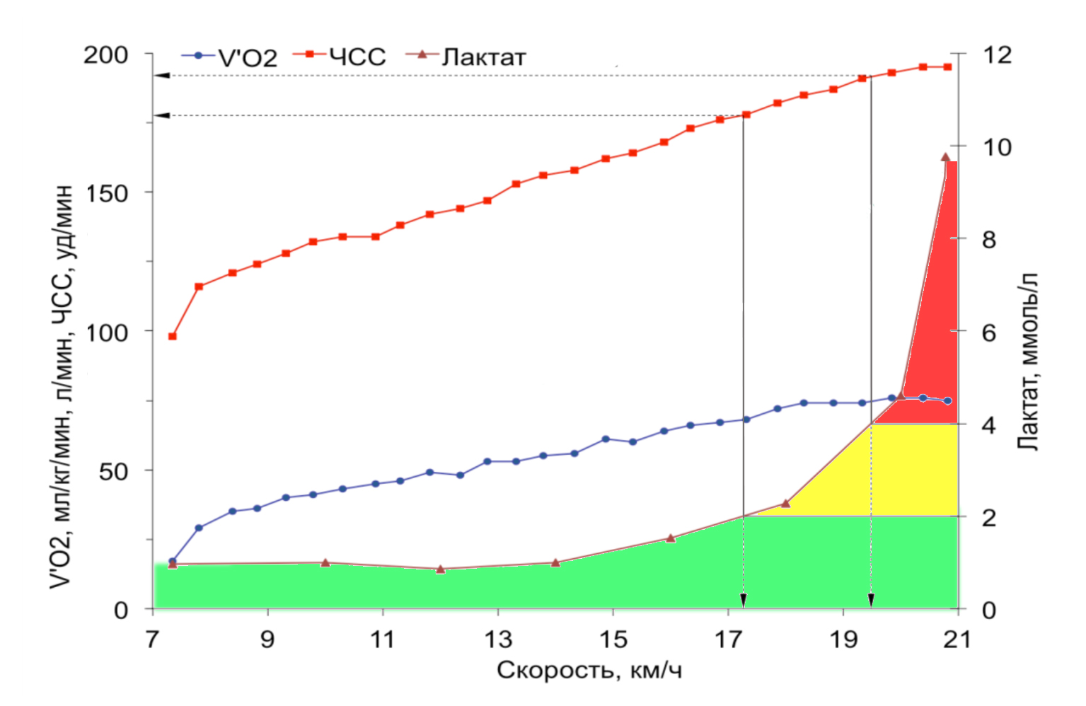способы определения пано. лактатный порог. попог аэроьного обмкна пао. уровень лактата аэробного порога. порог анаэробного обмена (пано) - это:.