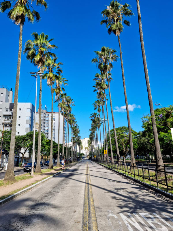avenida osvaldo aranha