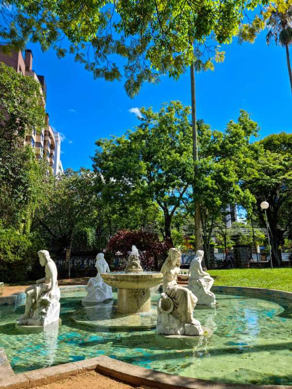 DMAE gardens