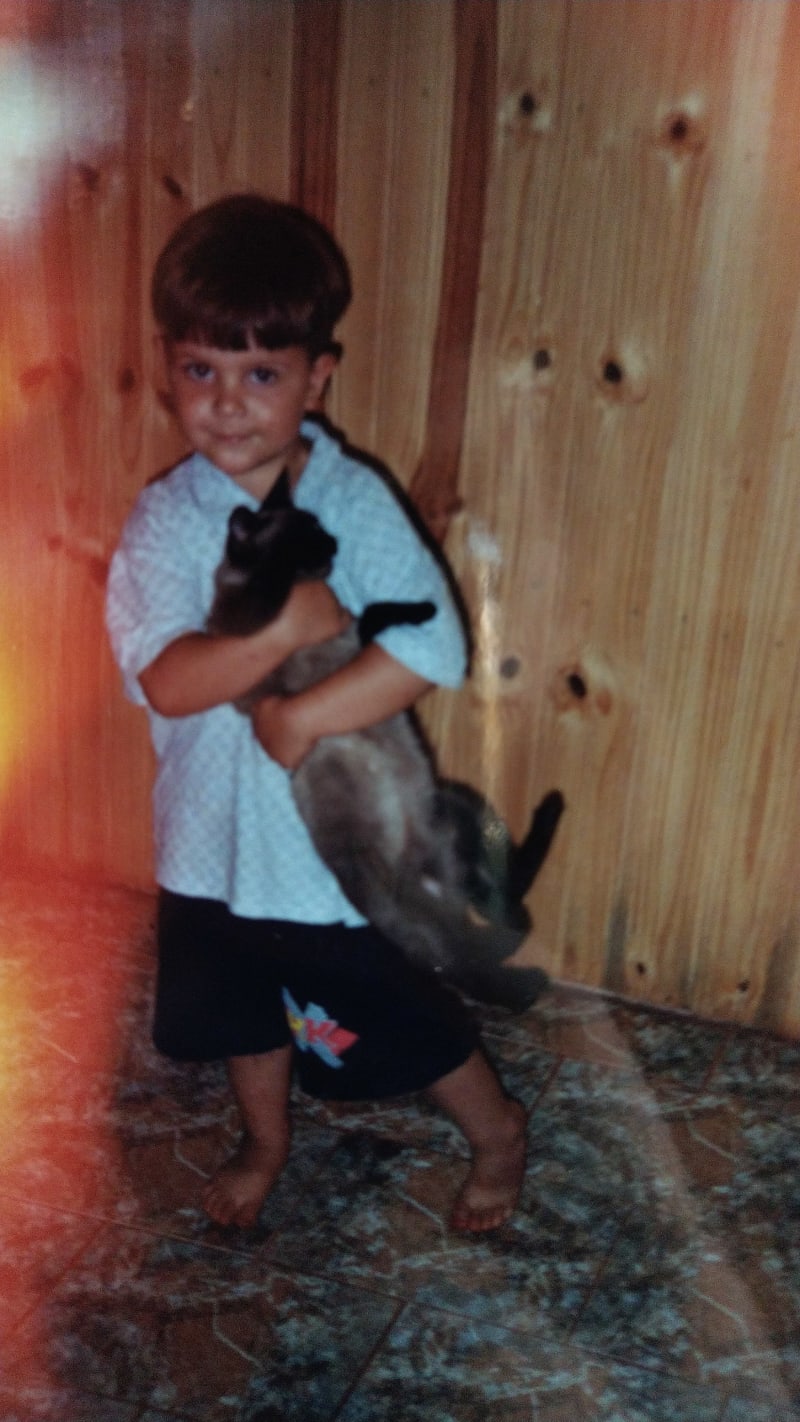 cat1