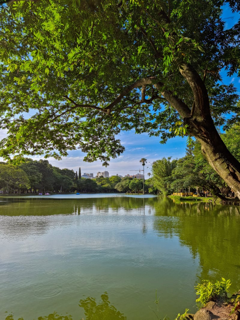 farroupilha park (redemption)