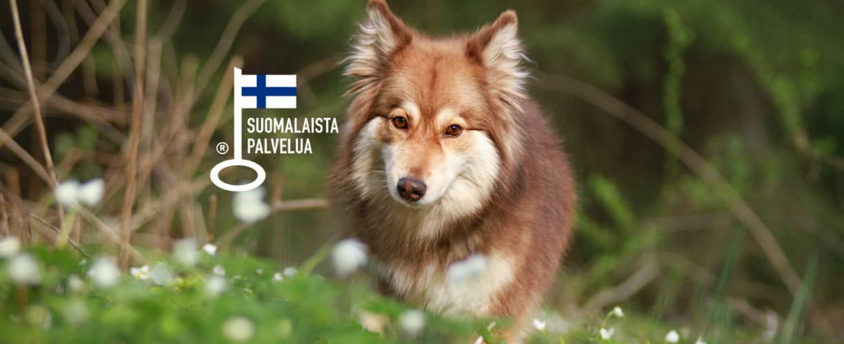 Vetcarella on suomalaisen palvelun avainlippu