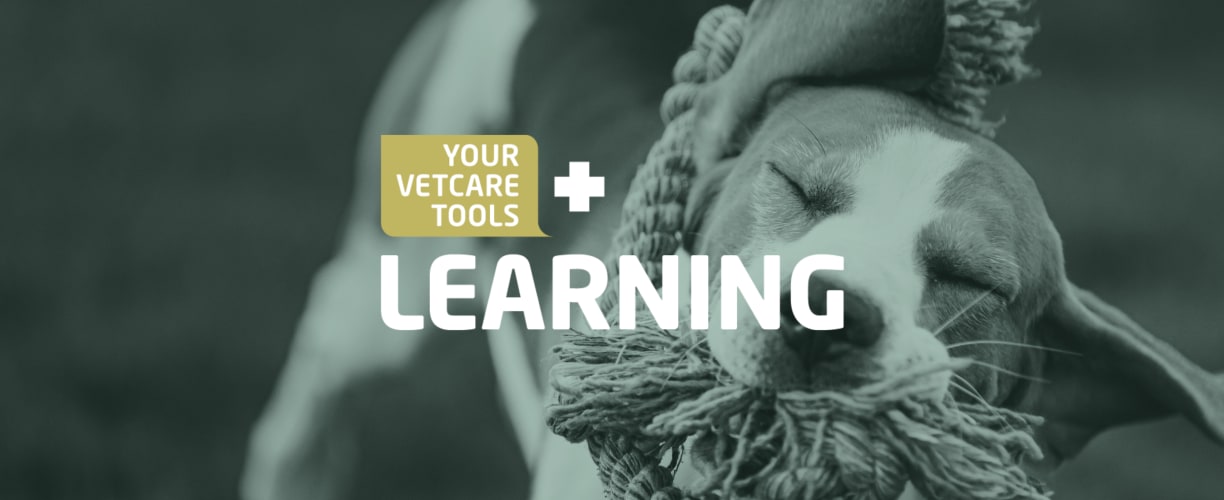 Your Vetcare Tools Learning dog archive