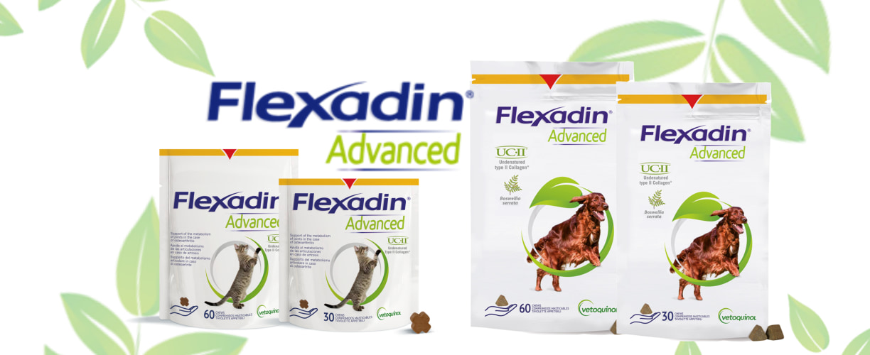 Flexadin Advanced