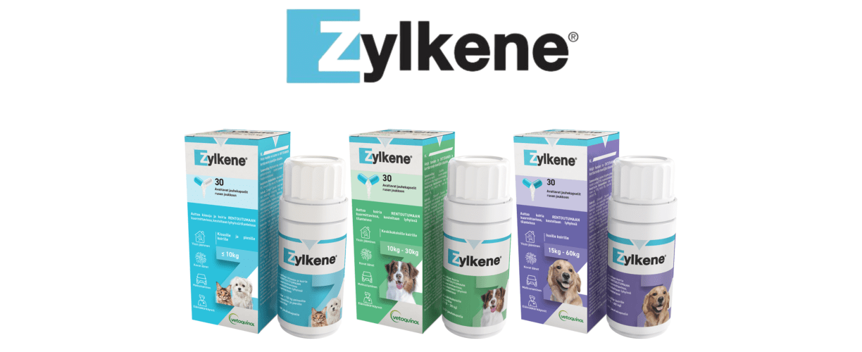 Zylkene auttaa kissoja ja koiria rentoutumaan