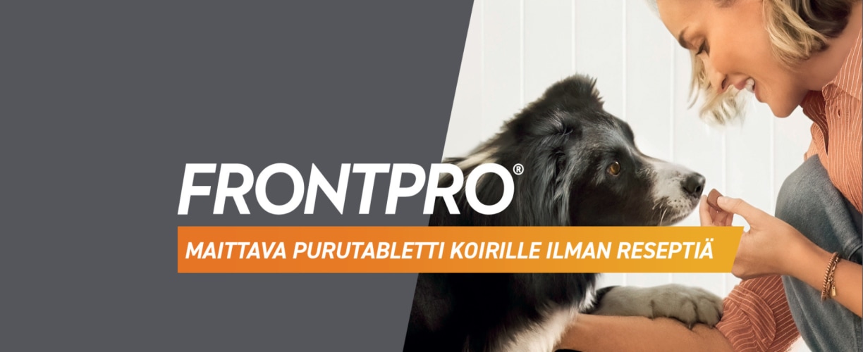 Frontpro - maittava purutabletti koirille ilman reseptiä