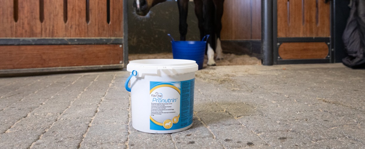 Equitop Pronutrin -täydennysrehu, joka on kehitetty suojaamaan hevosen mahan limakalvoa.