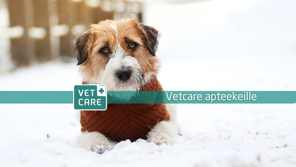 Vetcare apteekeille Facebook ryhmä