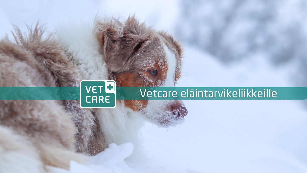 Vetcare eläintarvikeliikkeille Facebook ryhmä