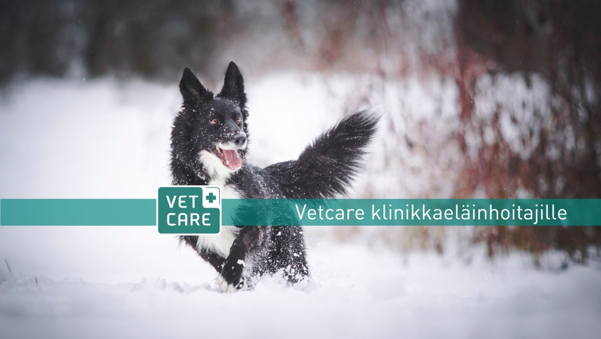 Vetcare klinikkaeläinhoitajille facebook ryhmä 