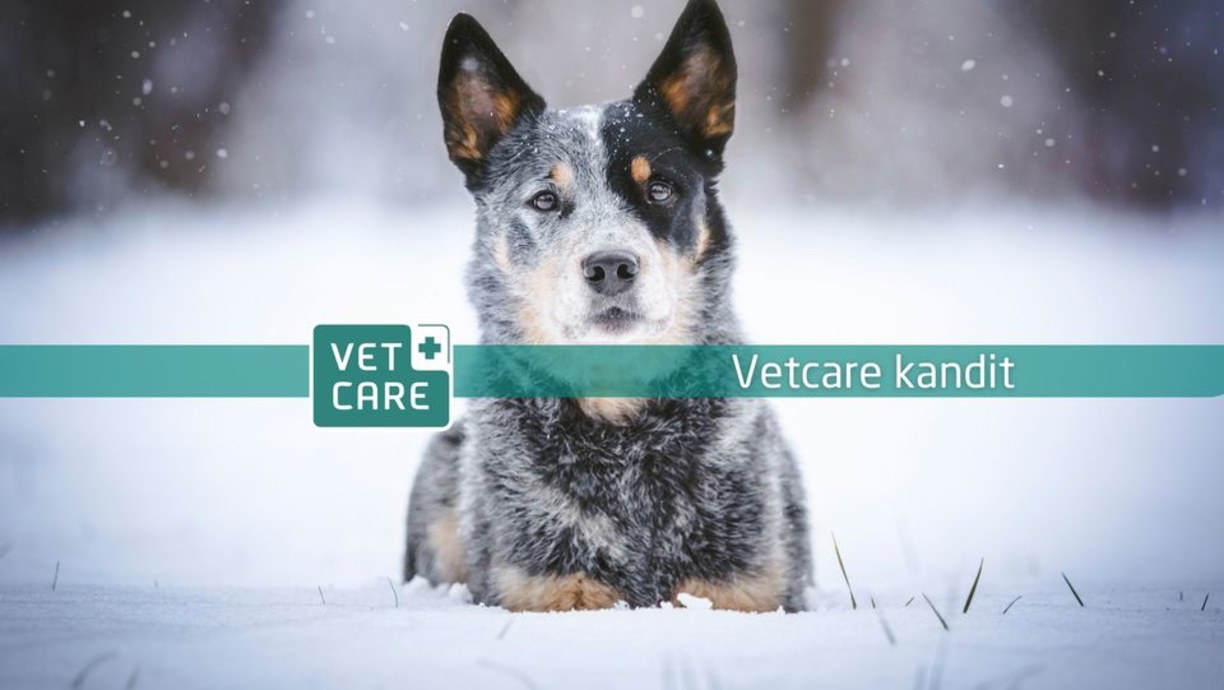 Vetcare Kandit Facebook ryhmä 