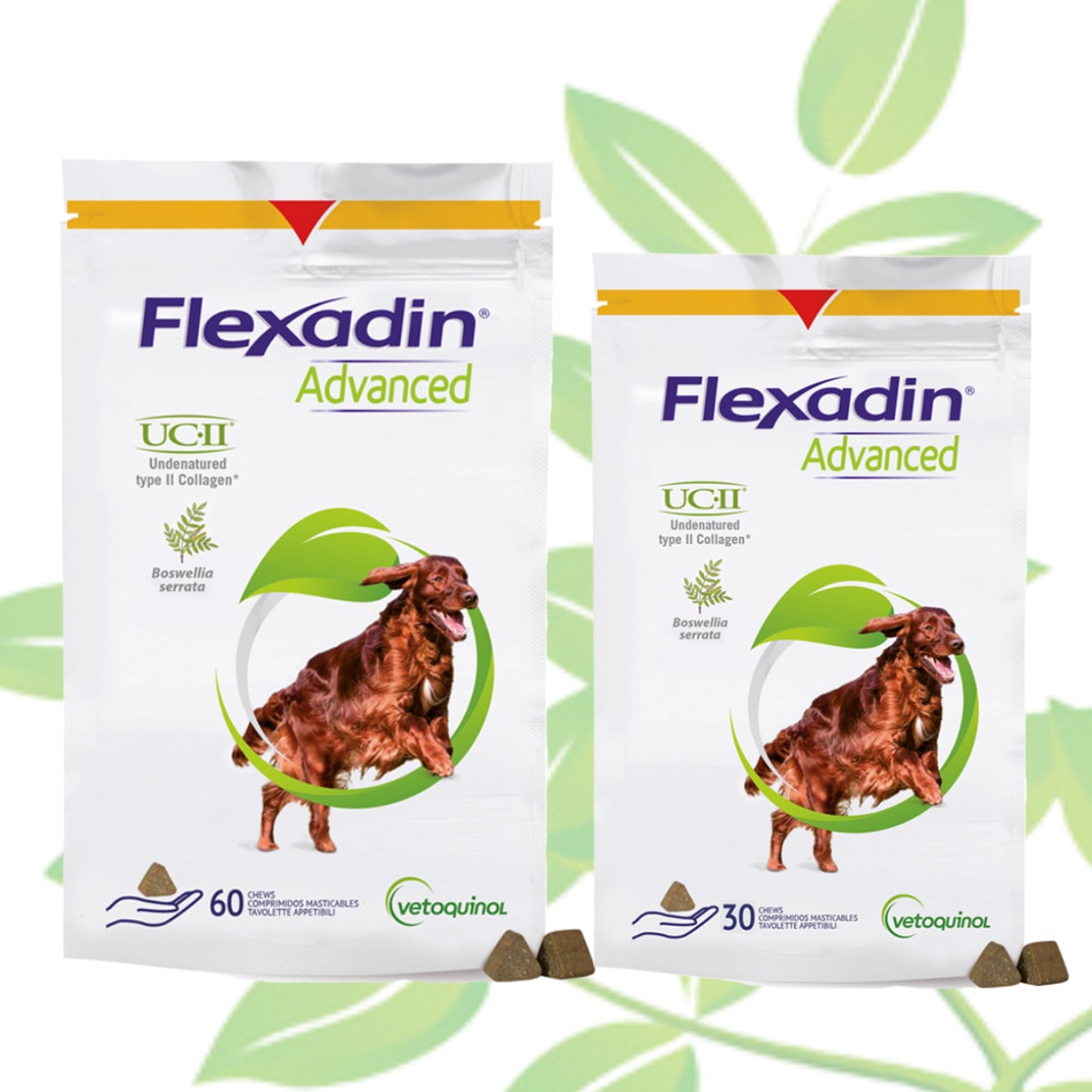 Flexadin Advanced koirille