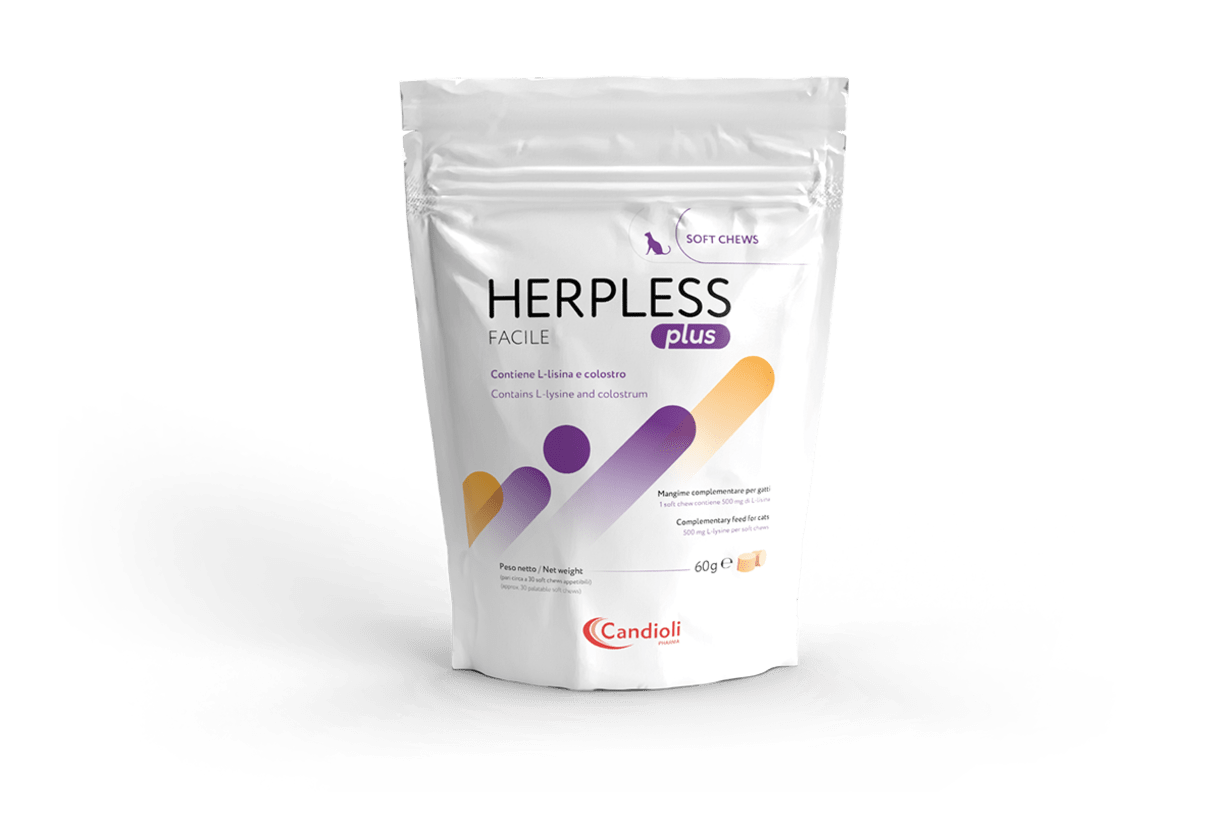 Herpless facile 60 g