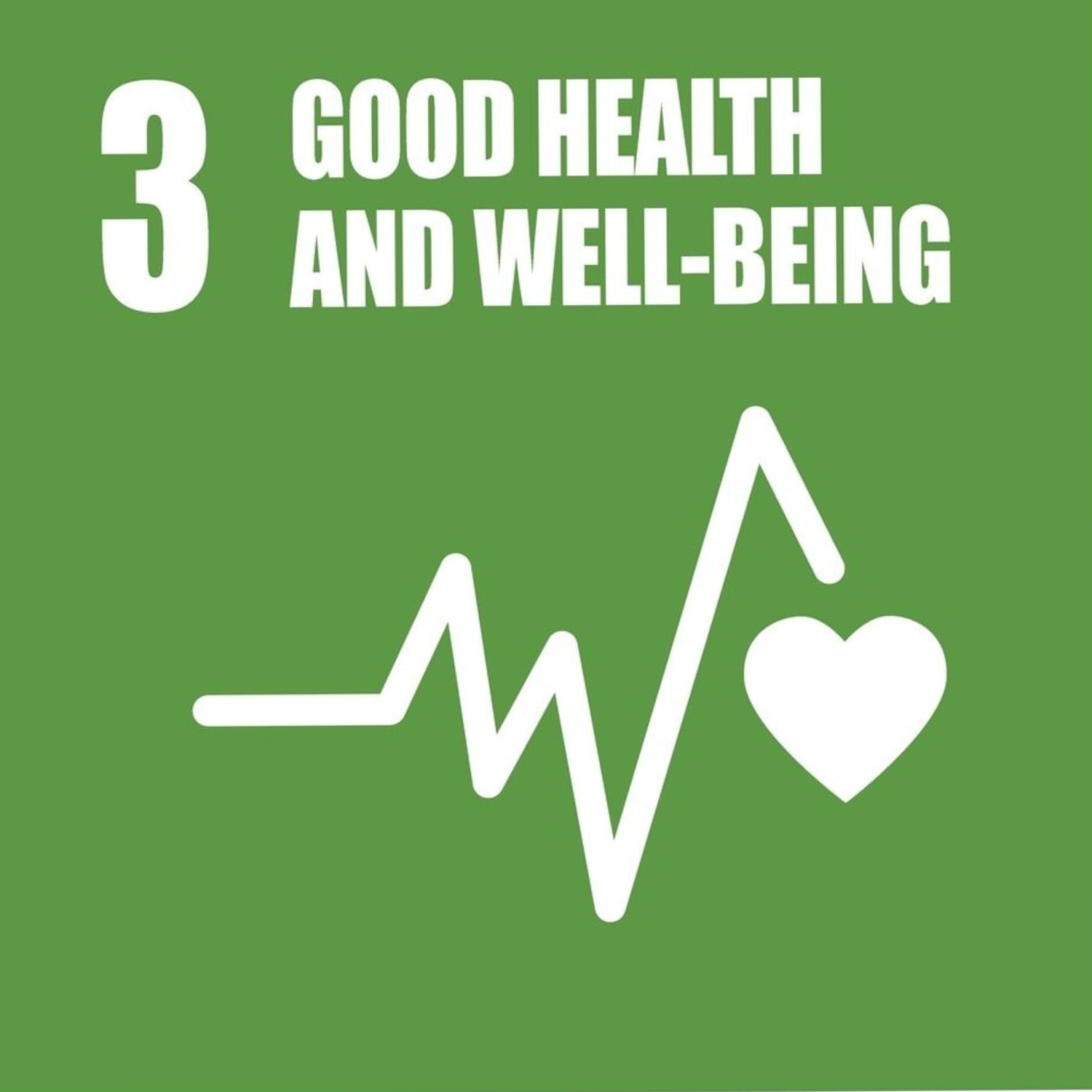 Vetcare sustainability UN Health