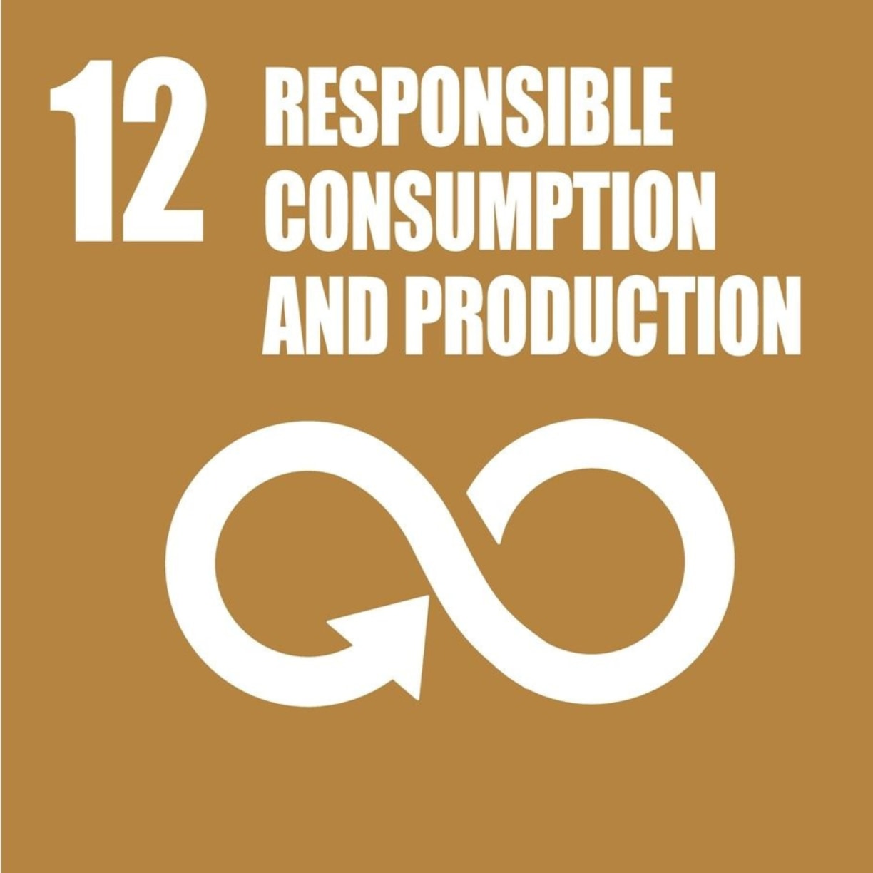 Vetcare sustainability UN production