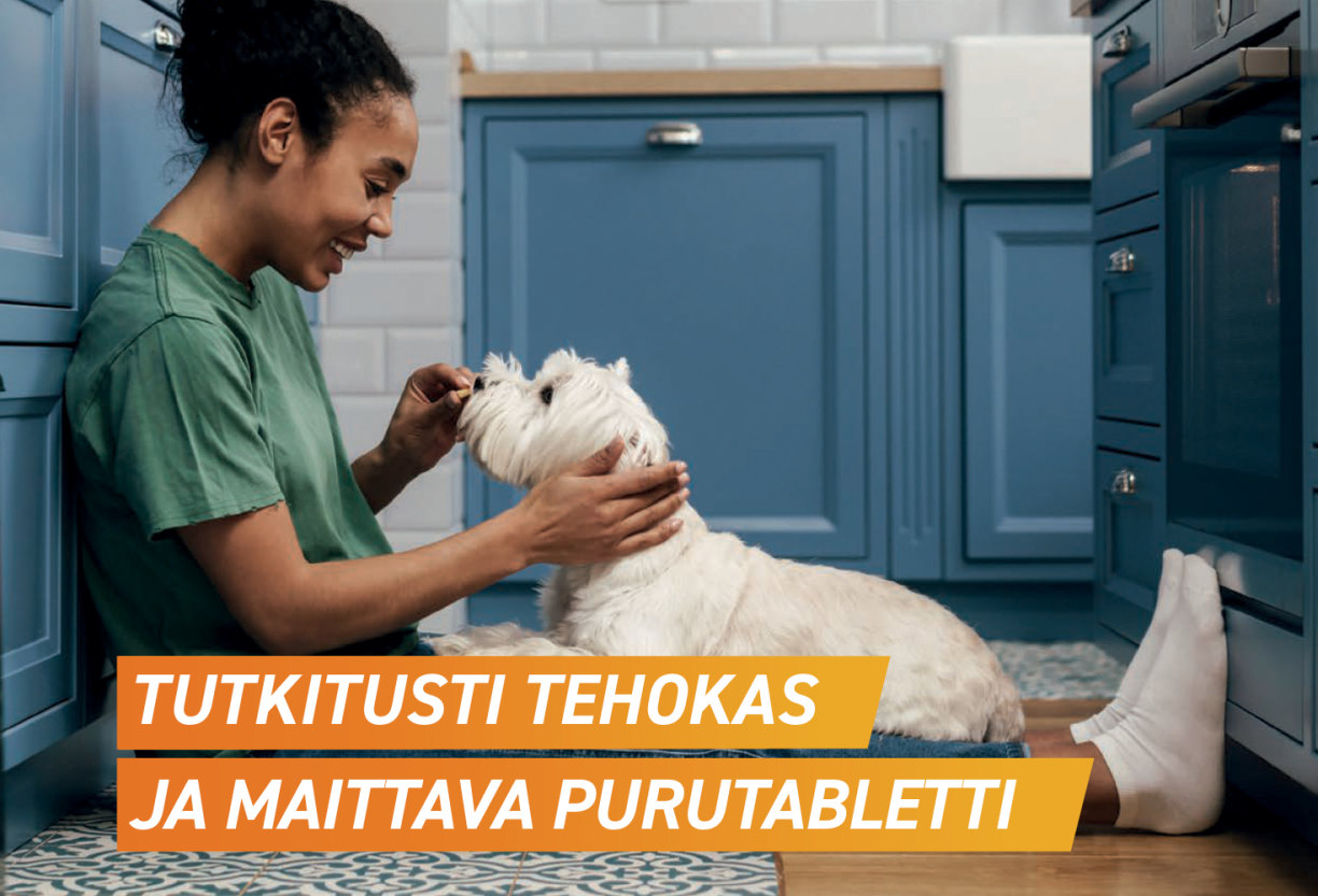 Frontpro on tutkitusti tehokas