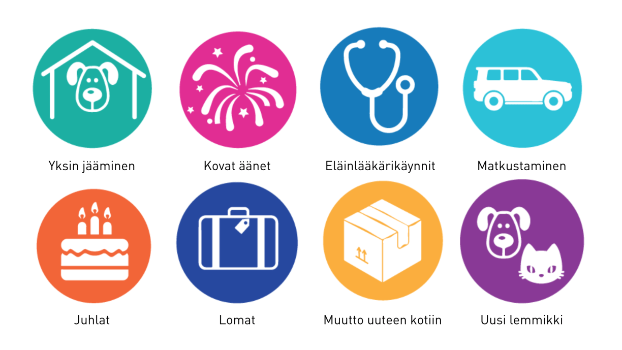 Koiran stressi voi ilmetä monissa eri tilanteissa