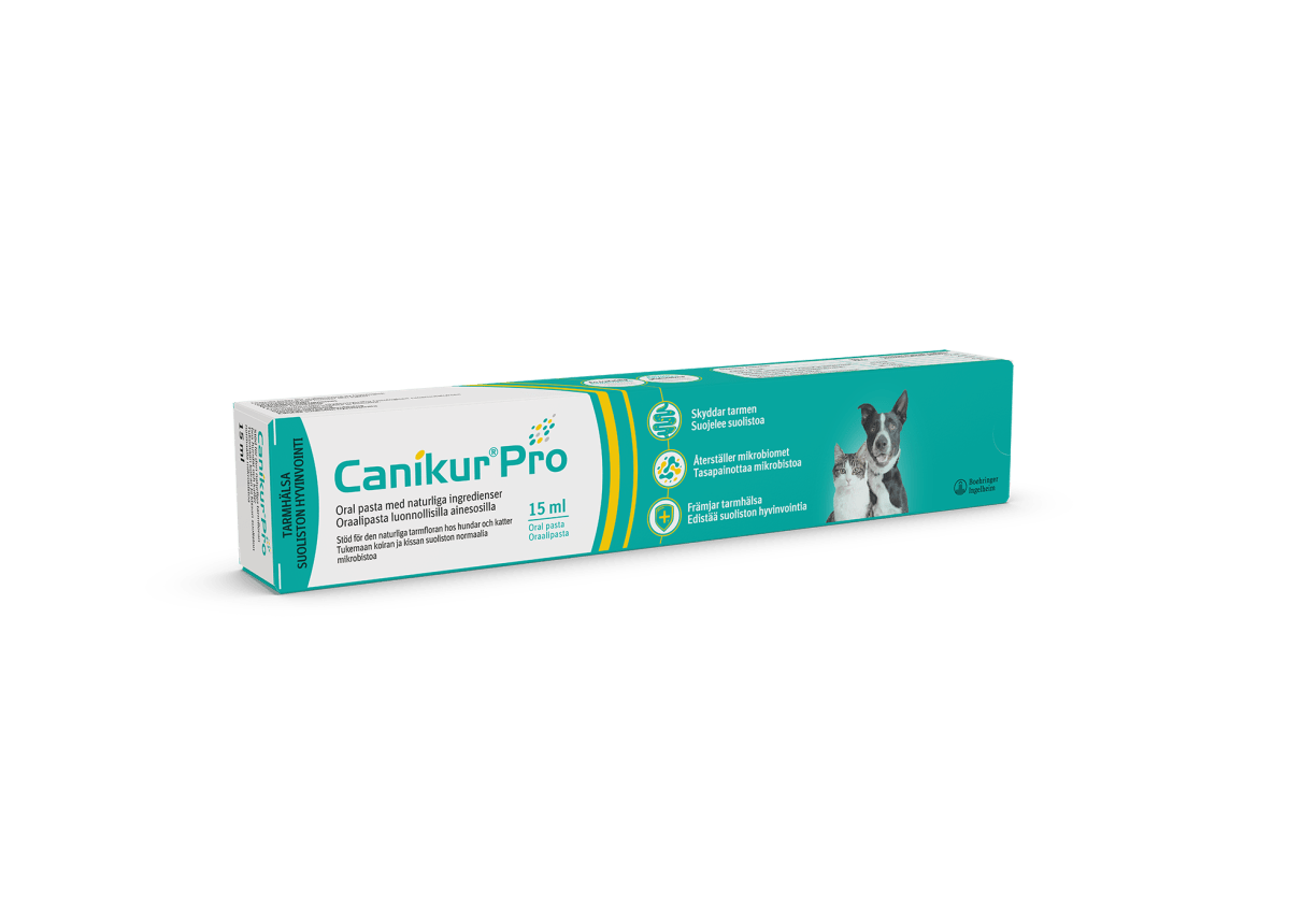 Canikur® Pro pasta täydennysrehu 15 ml