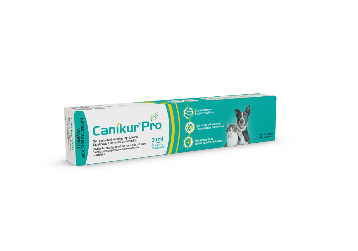 Canikur® Pro pasta  täydennysrehu 30 ml