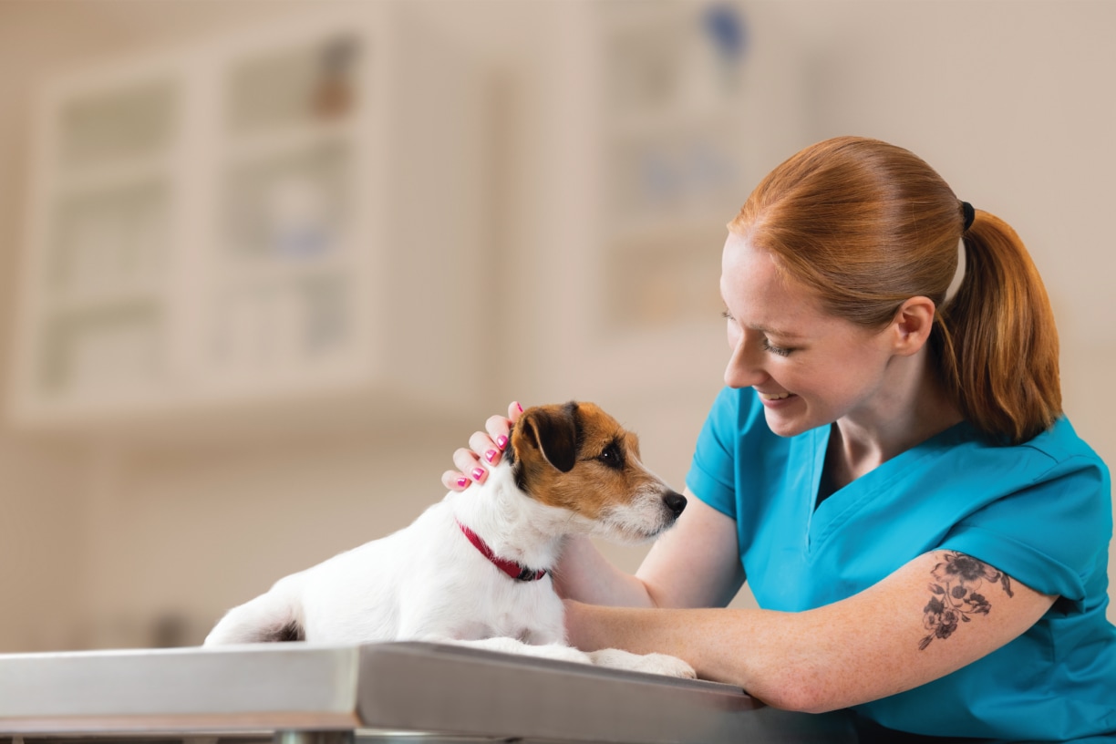 Vetcare products zenalpha