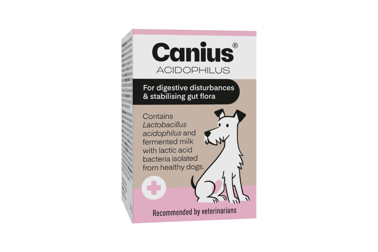 Canius Acidophilus