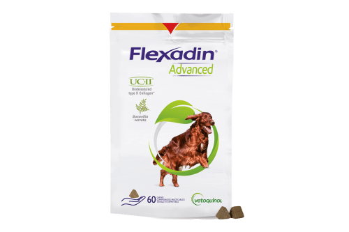 Flexadin® Advanced 60 tabl koiralle