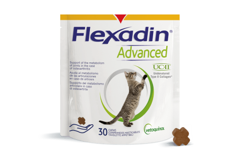 Flexadin® Advanced 30 tabl kissalle