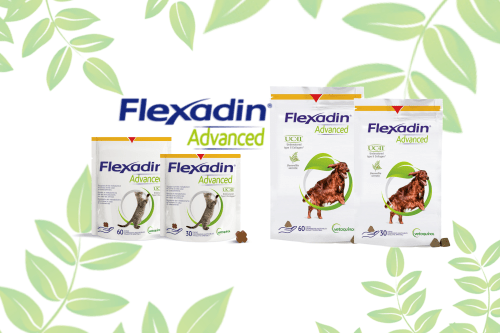 Flexadin Advanced