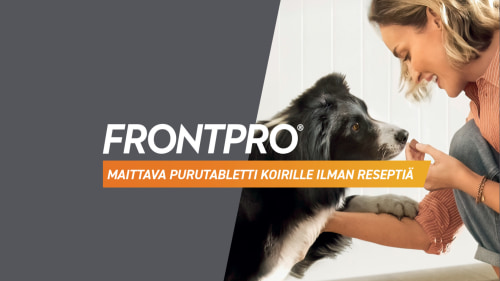 Frontpro - maittava purutabletti koirille ilman reseptiä