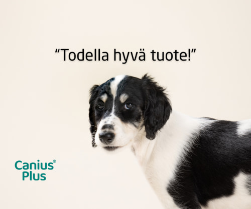 Canius Plus 