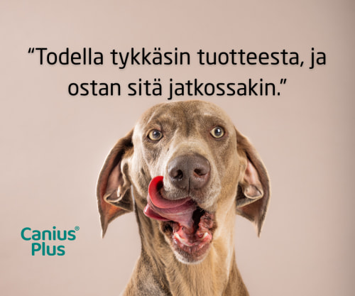 Canius Plus arvostelu