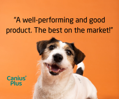 Canius Plus recommendation