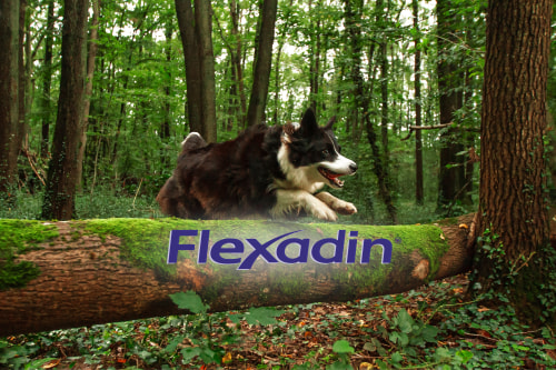 Flexadin Advanced