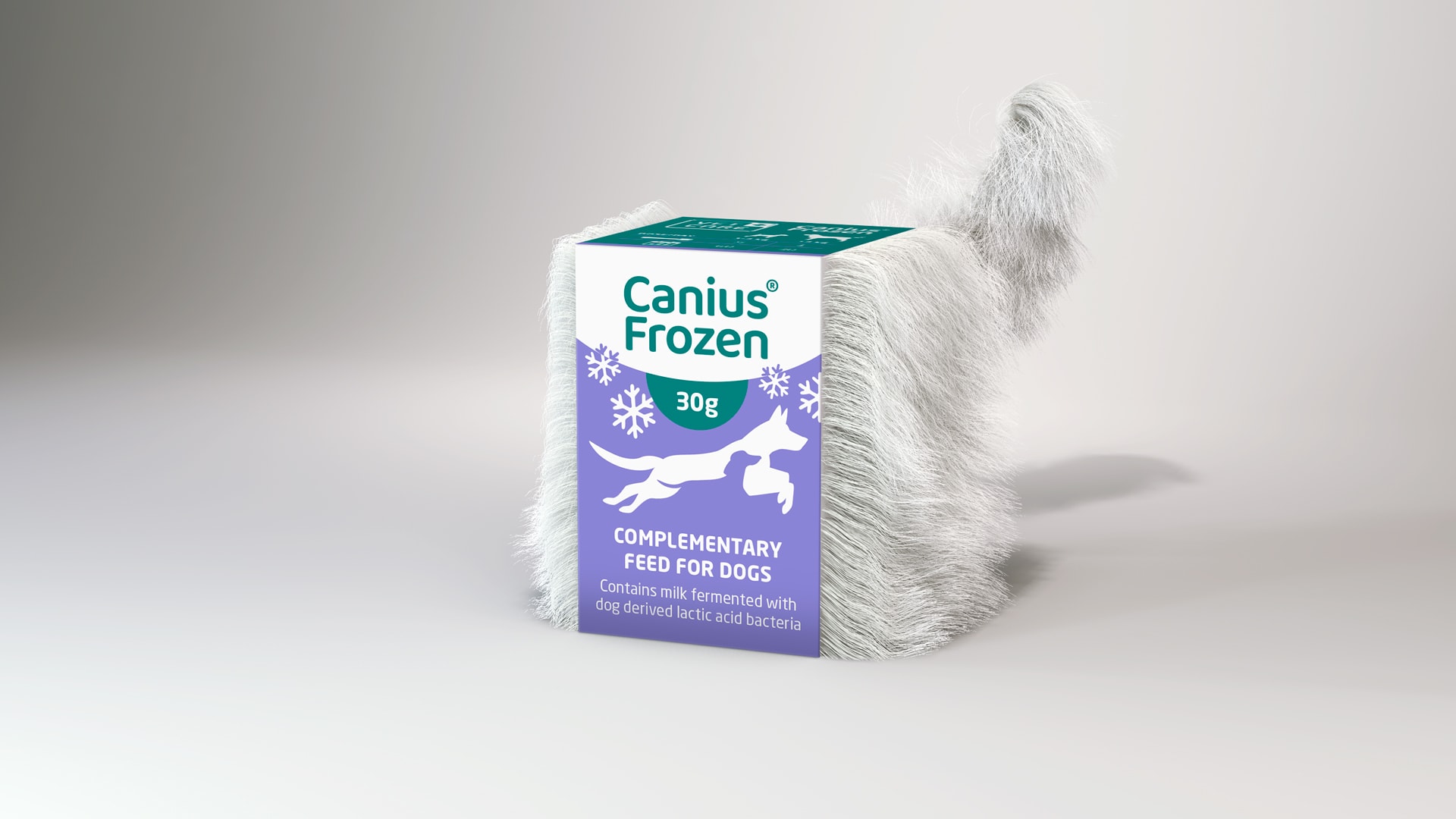 Canius Frozen – uutuus Musti & Mirri -myymälöissä | Vetcare