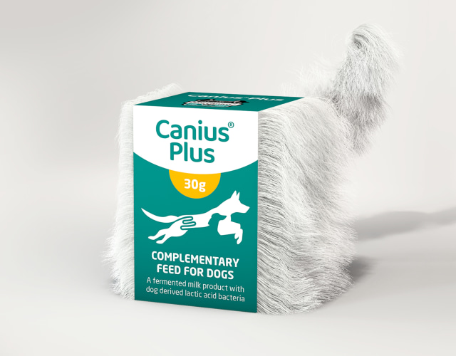 Canius Plus - Happy dog digestion to all - goofy tall and small