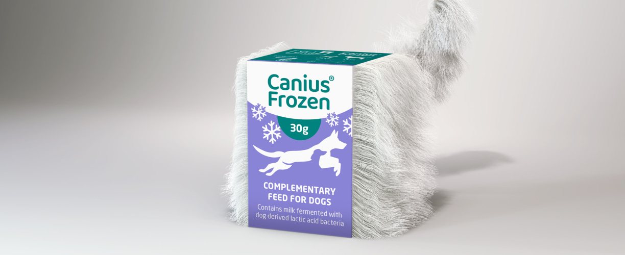 Canius Frozen – now available for pet stores | Vetcare