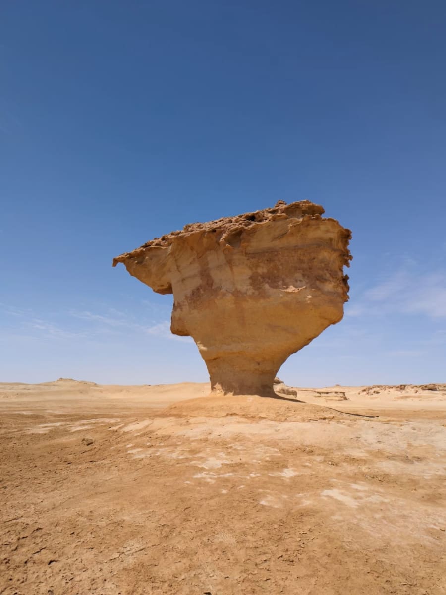 QARA OASIS