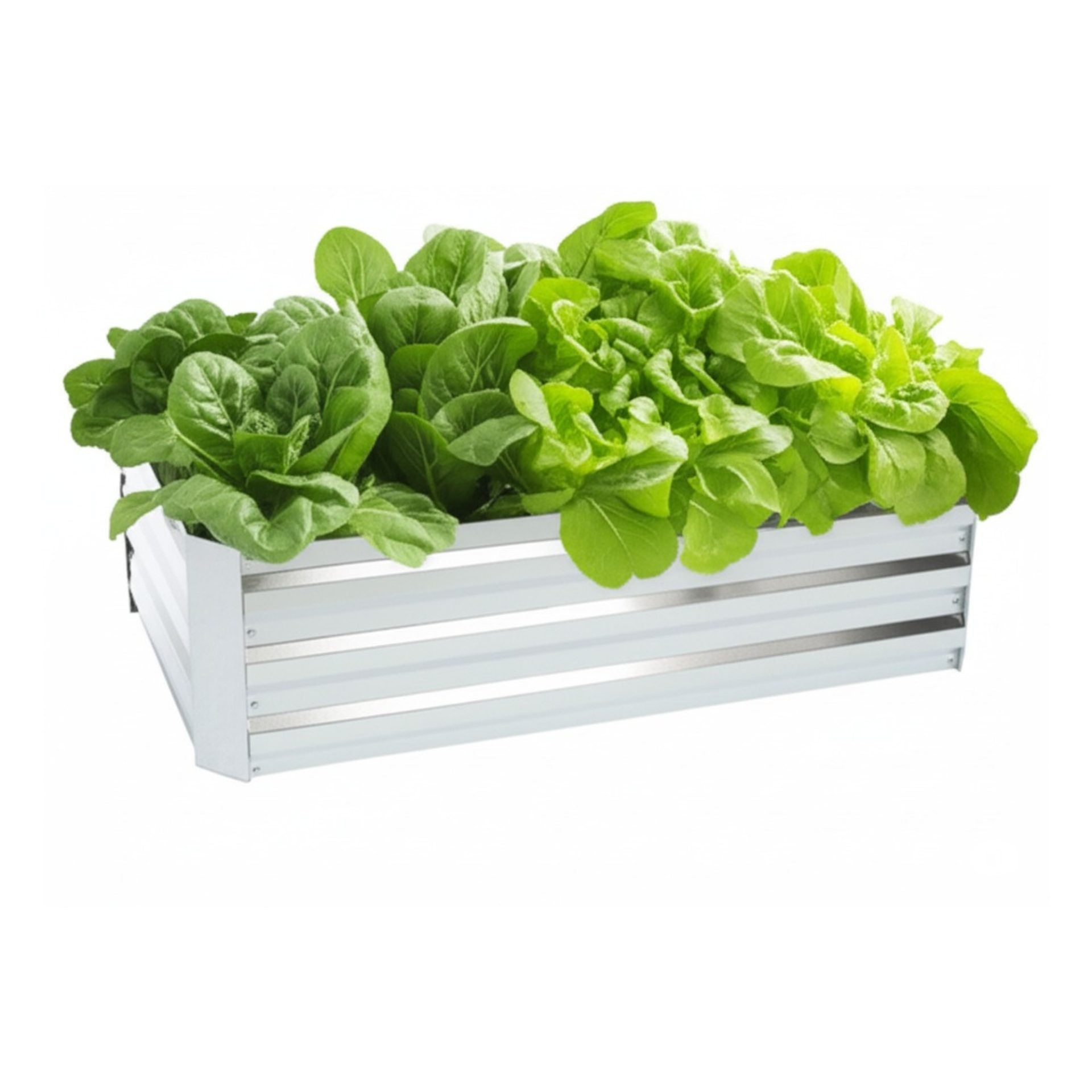Galvanized metal raised garden bed manufactured by TWS Industries in Vietnam