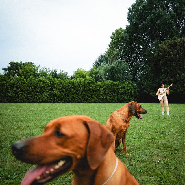 Anna and Vulkan - Nuovo Amore Passato Parte II