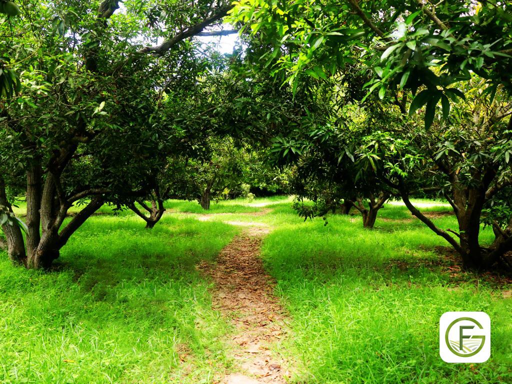 Getfarms Is Redefining Agricultural Investment Through Technology-Driven Managed Farmland Projects