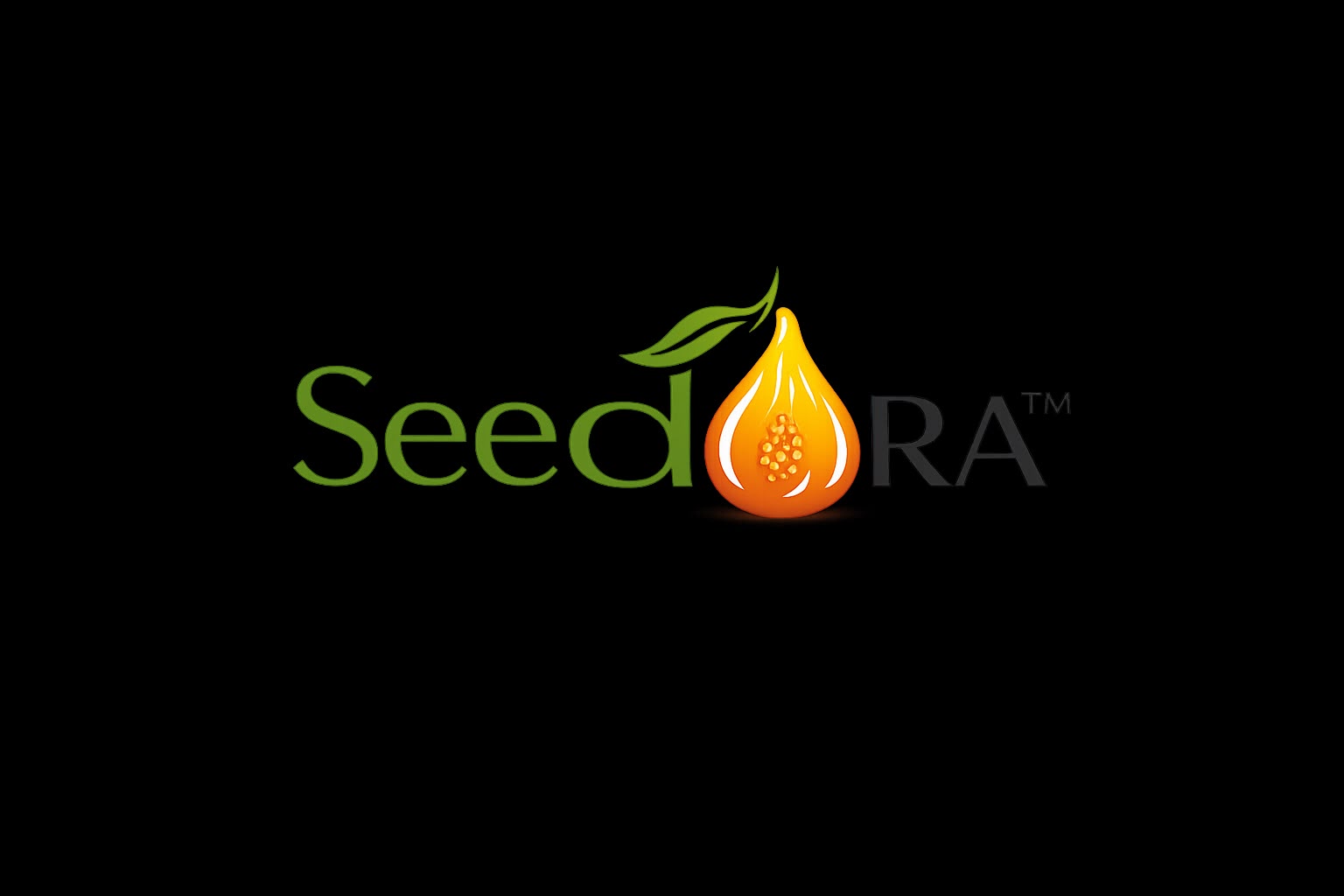 Seedora Superfoods & Co.: Building a Transparent New-Age Brand for Health-Conscious Snacking