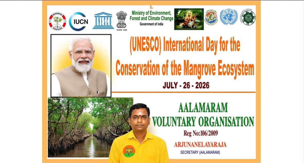PICHAVARAM MANGROVES: Exploring One of India’s Most Remarkable Coastal Ecosystems