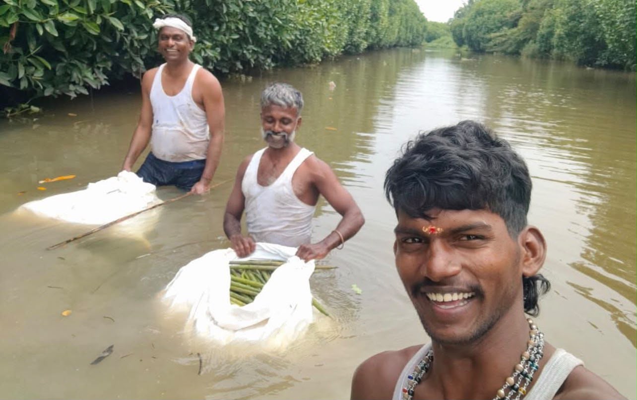 Mangroves, Sand Dunes and the Coastal Lifeline of Cuddalore: Why Protecting the Uppanar Ecosystem Matters — Detail photograph 1