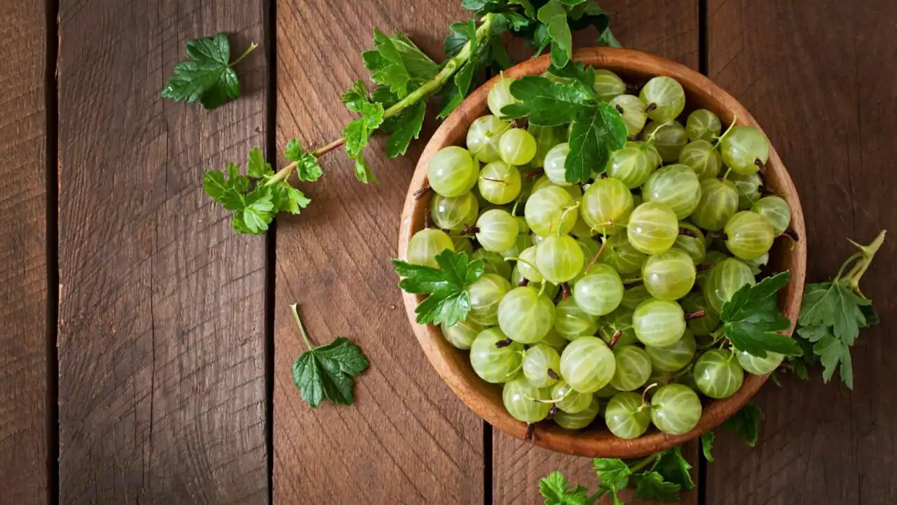 Pratapgarh: The Indian City Known as the Amla Capital