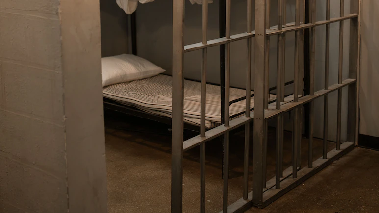 UK Court Case: 19-Year-Old Admits Animal Sexual Offence, Sentencing Scheduled for November