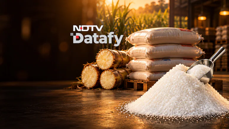 El Niño Threatens India’s Sugar Production as Retail Prices Climb Nearly 19%