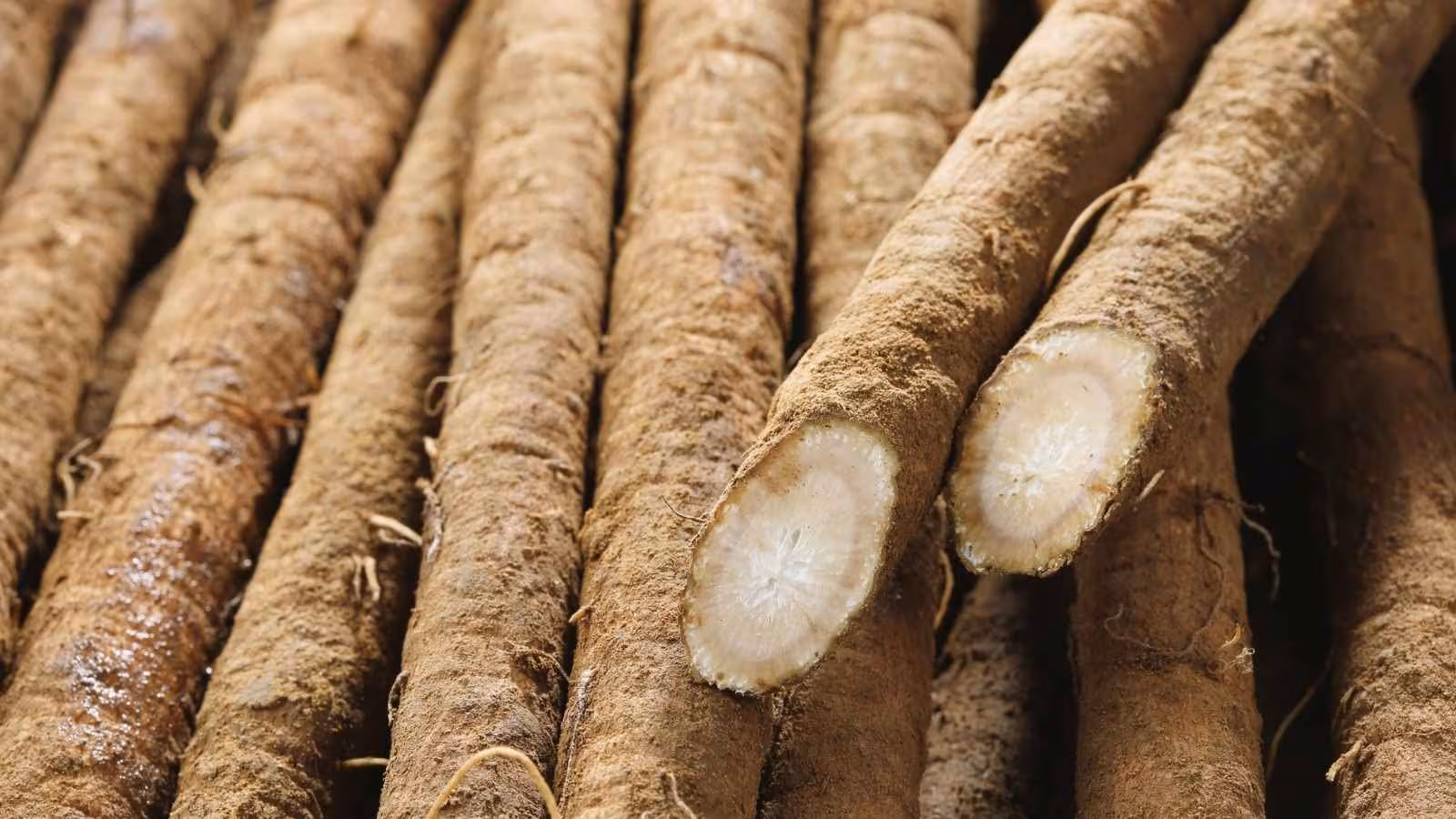 Mulethi Benefits and Side Effects: Who Should Avoid Licorice Root and Why?