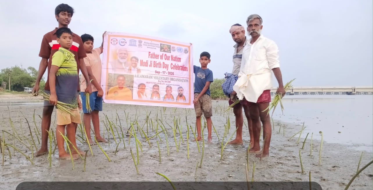 AALAMARAM’s Mangrove Initiative: Protecting Coastal Biodiversity and Water Quality in Cuddalore